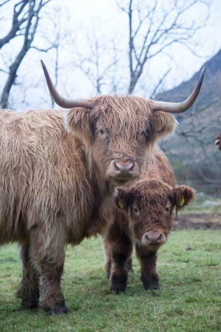 Inverlael Farm Cottages Esterno foto